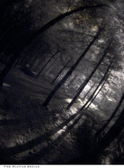 Are You What You Want to Be?