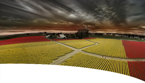 Holding Our Collective Breath