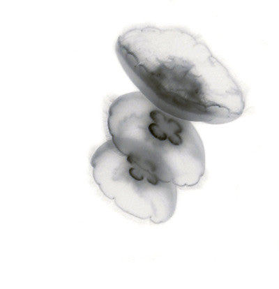 Coffee Thursday On Friday