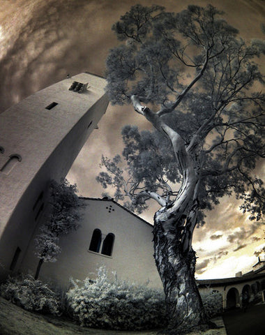 You're Killin' Independent George